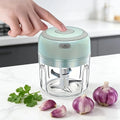 Electric Garlic Chopper, Mini Portable Veggie Choppers, Garlic Grinder Masher Onion Chopper, Blender to Vegetable